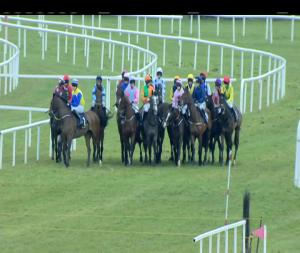 Video preview image for Fairyhouse 17:05 - Tattersalls Ireland George Mernagh Memorial Sales Bumper