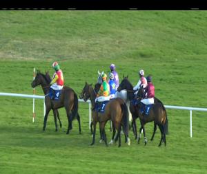 Video preview image for Fairyhouse 18:25 - fairyhouse.ie Maiden Hurdle 