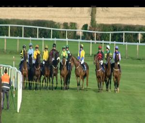 Video preview image for Fairyhouse 18:55 - Your Clubs Fundraiser At Fairyhouse, Enquire Today Handicap Hurdle 