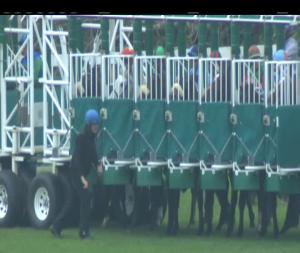 Video preview image for Leopardstown 16:30 - Bulmers Live At Leopardstown Handicap