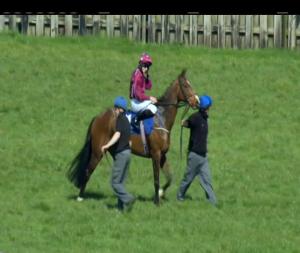 Video preview image for Limerick 15:00 - Family Fun Day May 20th Maiden 