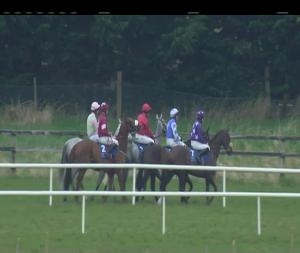 Video preview image for Limerick 16:20 - Hugh McMahon Memorial Novice Chase (Grade 3)