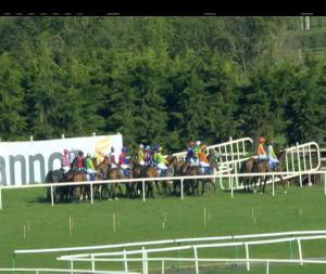 Video preview image for Limerick 17:35 - Panoramic Restaurant Handicap Hurdle