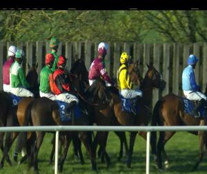 Video preview image for Limerick 19:05 - www.limerickraces.com Handicap Chase