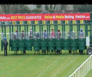 Video preview image for Navan 14:10 - Irish Stallion Farms European Breeders Fund Maiden
