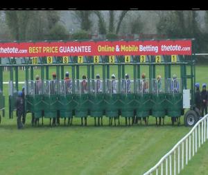 Video preview image for Navan 14:45 - navanracecourse.ie Handicap