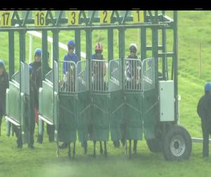 Video preview image for Navan 17:20 - Vintage Crop Stakes (Group 3)