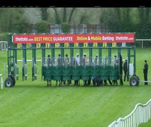 Video preview image for Navan 18:00 - Woodlands Stakes (Listed)