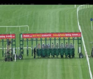 Video preview image for Navan 18:30 - Blackwater Handicap