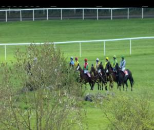 Video preview image for Punchestown 14:35 - Dooley Insurances Cross Country Chase