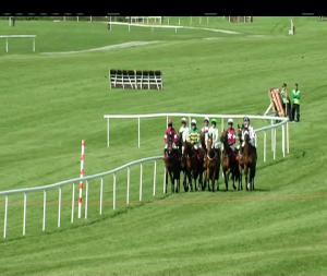 Video preview image for Punchestown 15:50 - European Breeders Fund Annie Power Mares Champion Hurdle (Grade 1)