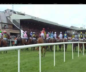 Video preview image for Punchestown 16:15 - pigsback.com Handicap Chase (Grade B)
