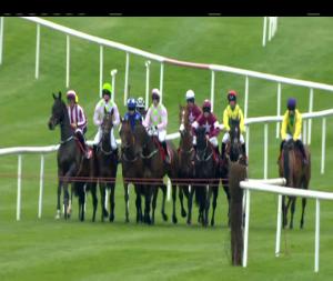 Video preview image for Punchestown 16:20 - Herald Champion Novice Hurdle (Grade 1)