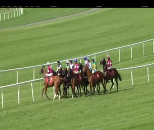 Video preview image for Punchestown 16:20 - Louis Fitzgerald Hotel Hurdle