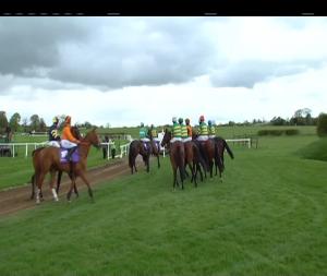 Video preview image for Punchestown 16:50 - Friends First Cross Country Chase