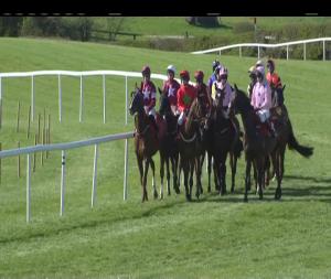 Video preview image for Punchestown 16:55 - Irish Daily Mirror Novice Hurdle (War Of Attrition) (Grade 1)