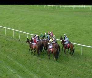 Video preview image for Punchestown 16:55 - Hanlon Concrete Irish European Breeders Fund Glencarraig Lady Francis Flood Mares Handicap Chase (Grade B)