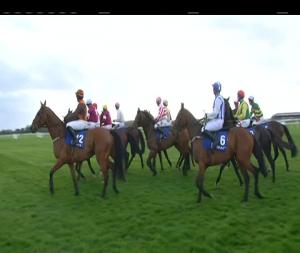 Video preview image for Punchestown 17:30 - Coral Punchestown Gold Cup Chase (Grade 1)