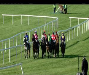 Video preview image for Punchestown 18:05 - Profile Systems Champion Novice Hurdle (Tickell) (Grade 1)