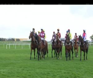 Video preview image for Punchestown 18:40 - Growise Champion Novice Chase (Ellier) (Grade 1)