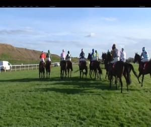 Video preview image for Punchestown 18:40 - Star Best For Racing Coverage Champion Hunters Chase