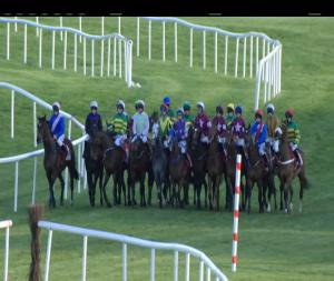 Video preview image for Punchestown 19:10 - Salessense International Novice Hurdle