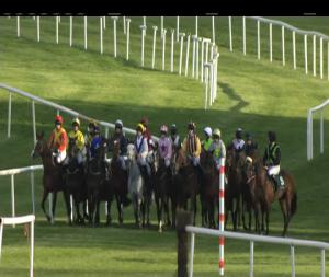 Video preview image for Punchestown 19:15 - Weatherbys General Stud Book Irish European Breeders Fund Mares I.N.H. Flat (Liss A Paoraigh) (Grade 3)