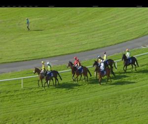 Video preview image for Ballinrobe 17:25 - P & D Lydon Handicap Hurdle
