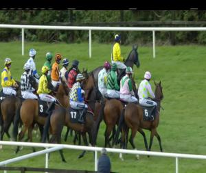 Video preview image for Bellewstown 16:15 - thetote.com Maiden Hurdle 