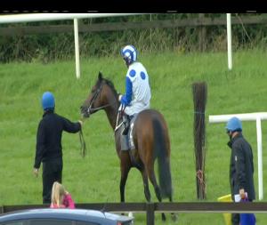 Video preview image for Bellewstown 16:45 - Foran Equine Irish European Breeders Fund Auction Maiden