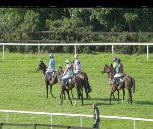 Video preview image for Bellewstown 16:45 - Racing Post Mares Hurdle 