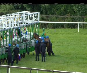 Video preview image for Bellewstown 17:15 - Eva-Tec Ltd Handicap (Div 1)