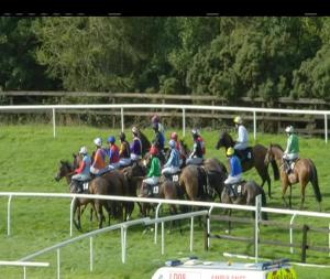 Video preview image for Bellewstown 17:15 - Byrne Marquees Handicap Hurdle 