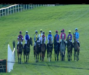 Video preview image for Bellewstown 18:15 - Bluegrass Horse Feeds Maiden Hurdle 