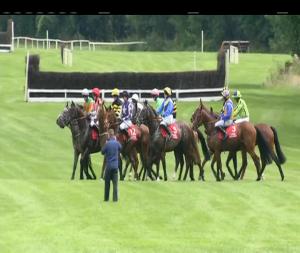 Video preview image for Cork 14:05 - E Tarrant & Sons Main Skoda Dealer Maiden Hurdle