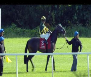 Video preview image for Cork 17:30 - Irish Stallion Farms European Breeders Fund Fillies Maiden