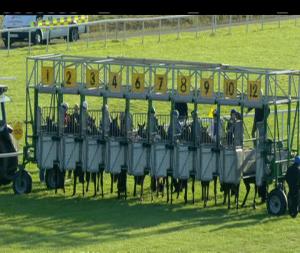 Video preview image for Cork 19:30 - Irish Stallion Farms European Breeders Fund Give Thanks Stakes (Group 3)