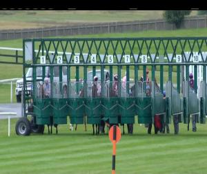 Video preview image for Curragh 14:30 - Anglesey Lodge Equine Hospital Irish European Breeders Fund Maiden (Plus 10)
