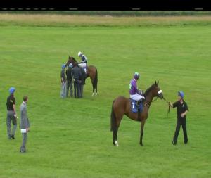 Video preview image for Curragh 15:45 - Snow Fairy Fillies Stakes (Group 3)