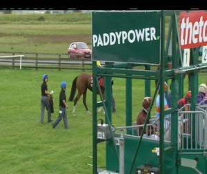 Video preview image for Curragh 16:20 - Tote Irish Cambridgeshire (Premier Handicap)