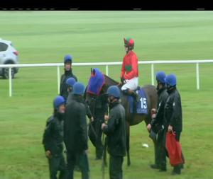 Video preview image for Curragh 16:30 - Derek O'Sullivan Memorial Apprentice Handicap 