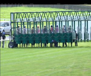 Video preview image for Curragh 17:10 - Gabriel Curran Memorial Handicap