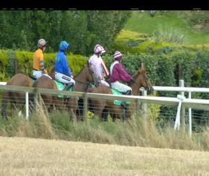 Video preview image for Downpatrick 14:45 - Balloo Hire Centres Rated Hurdle