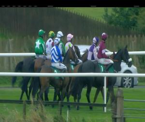 Video preview image for Downpatrick 15:00 - Profile Systems Maiden Hurdle 