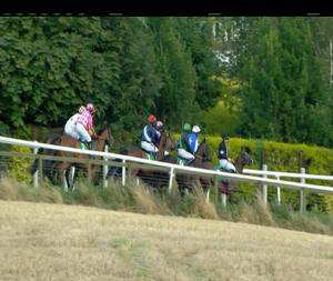Video preview image for Downpatrick 17:25 - 'Your Name Here' Flat Race