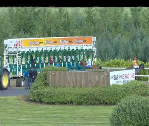 Video preview image for Dundalk 16:15 - Foran Equine Irish European Breeders Fund Auction Maiden