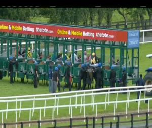 Video preview image for Galway 15:20 - Foran Equine Irish European Breeders Fund Auction Maiden