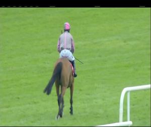 Video preview image for Galway 15:50 - Tote Irish European Breeders Fund Mares Handicap Hurdle
