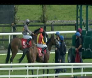 Video preview image for Galway 16:15 - Galway Shopping Centre Irish European Breeders Fund Nursery Handicap