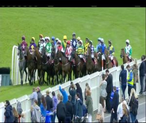 Video preview image for Galway 16:25 - thetote.com Handicap Hurdle